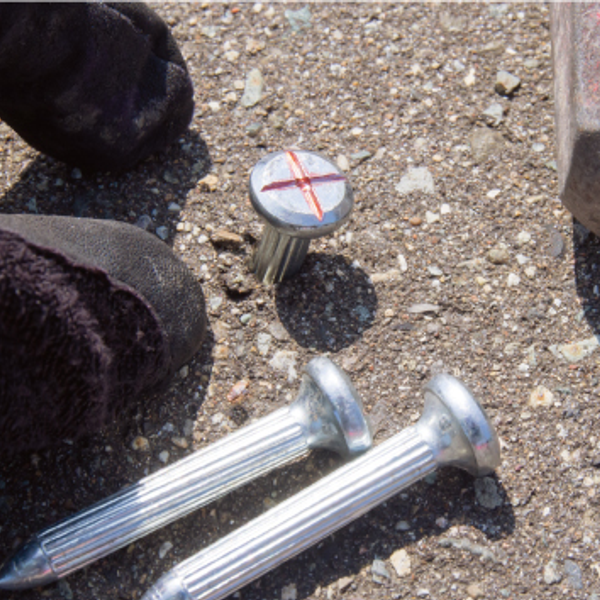 Myzox Survey Nail #3 75mm for Asphalt - 100 Pack 7090722 | C.R. Kennedy