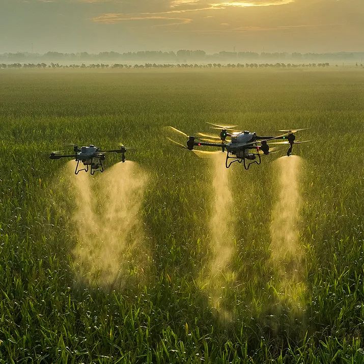 Field view of DJI Agras agricultural drones by C.R.Kennedy Geospatial Solutions