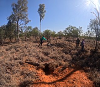 Using Subsurface Mapping Solutions to map Wombat burrow