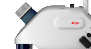 A Delta Was Never So Small