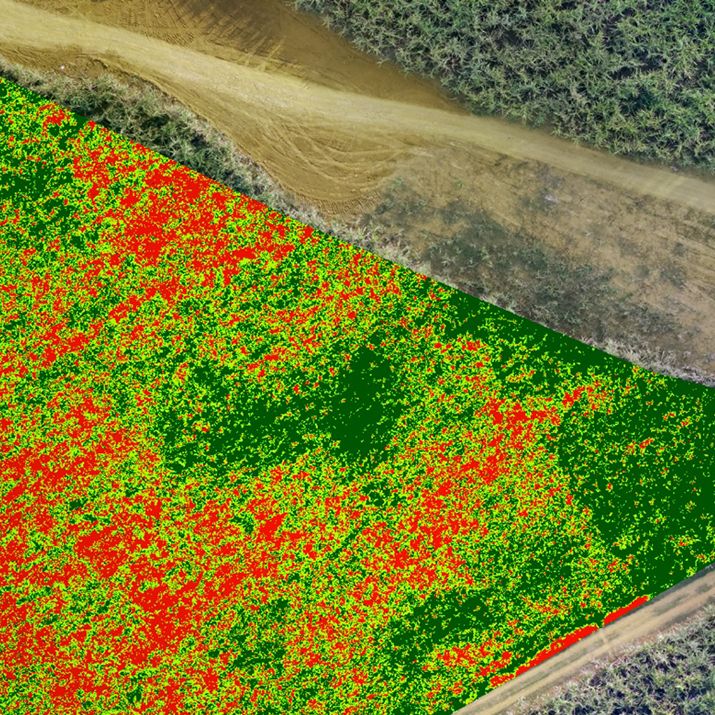 Crop Monitoring and Yield Optimisation using DJI Agras agricultural drones by C.R.Kennedy Geospatial Solutions