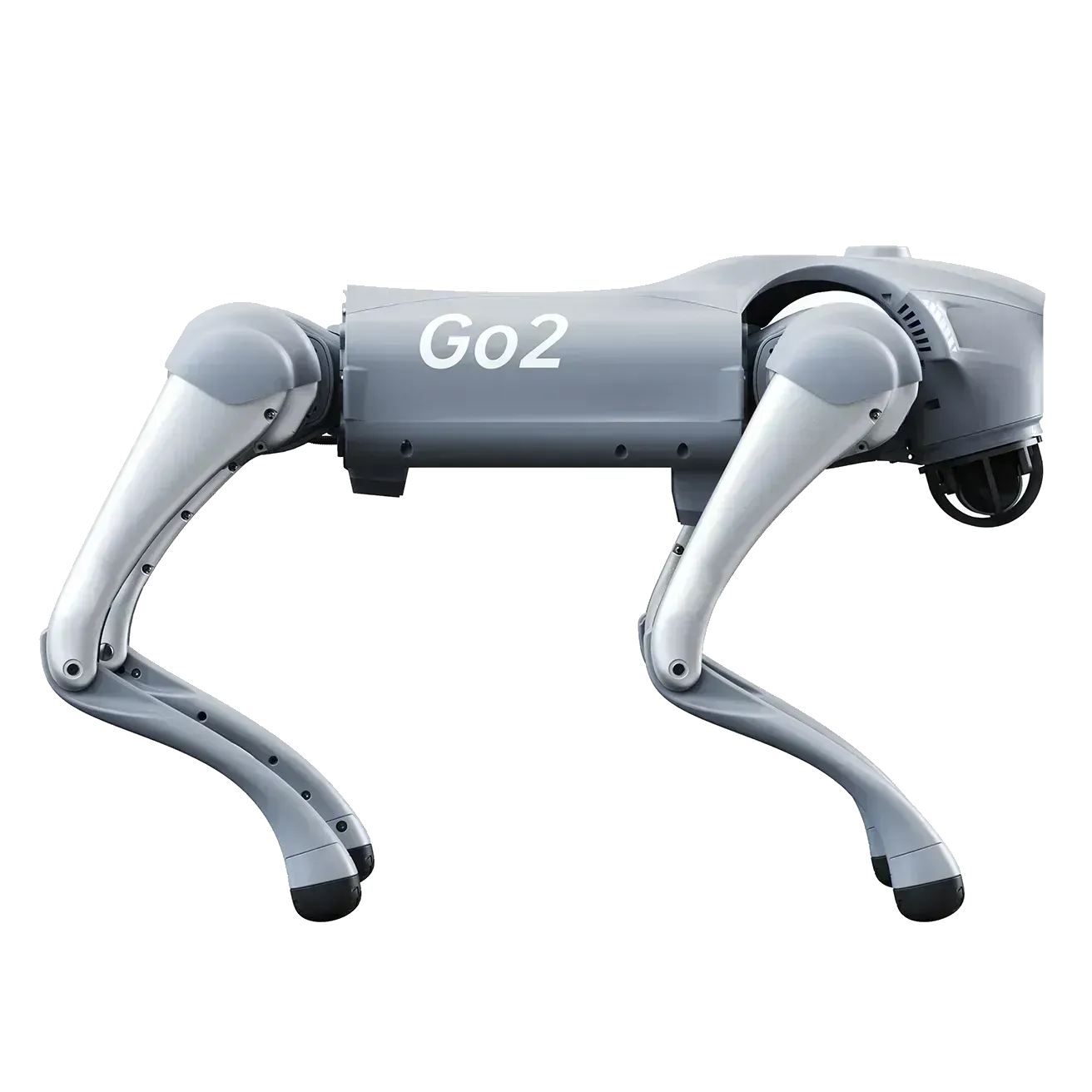 Unitree Go2 EDU Plus & D1 Arm