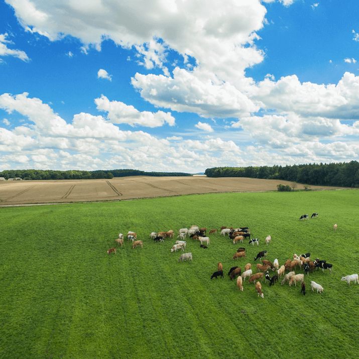 Livestock Monitoring and Farm Security using DJI Agras agricultural drones by C.R.Kennedy Geospatial Solutions
